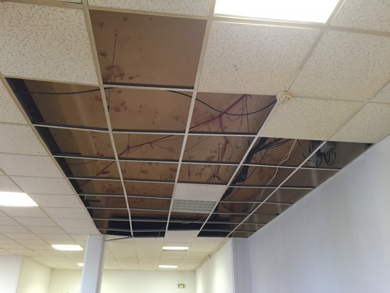 Pose de faux plafond en dalle